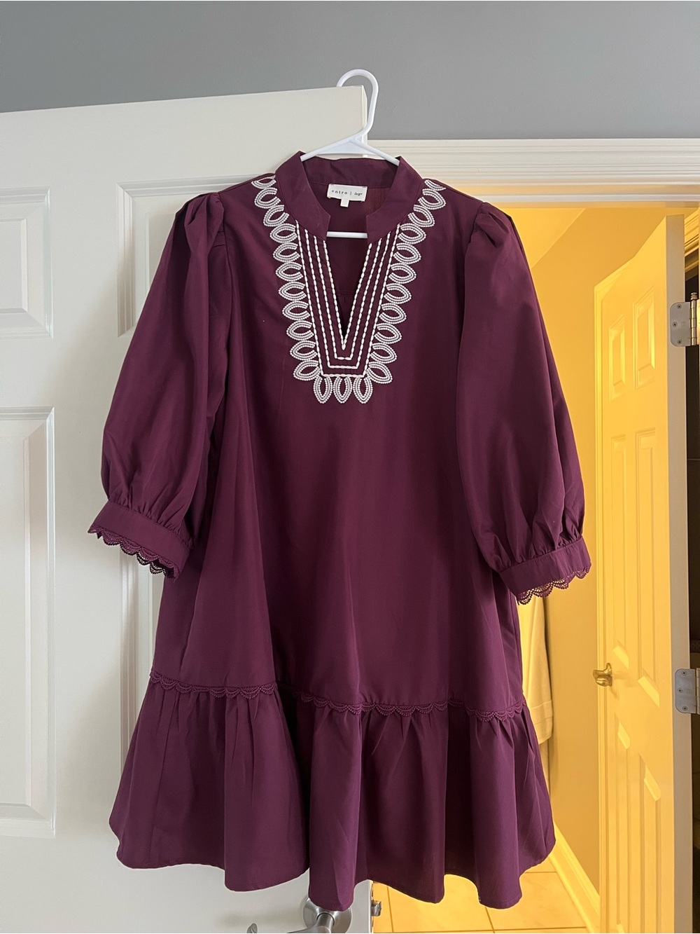 entro Plum Embroidered Yoke Mini Dress